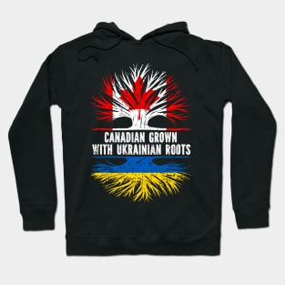 Canadian Grown with Ukrainian Roots Flag Hoodie